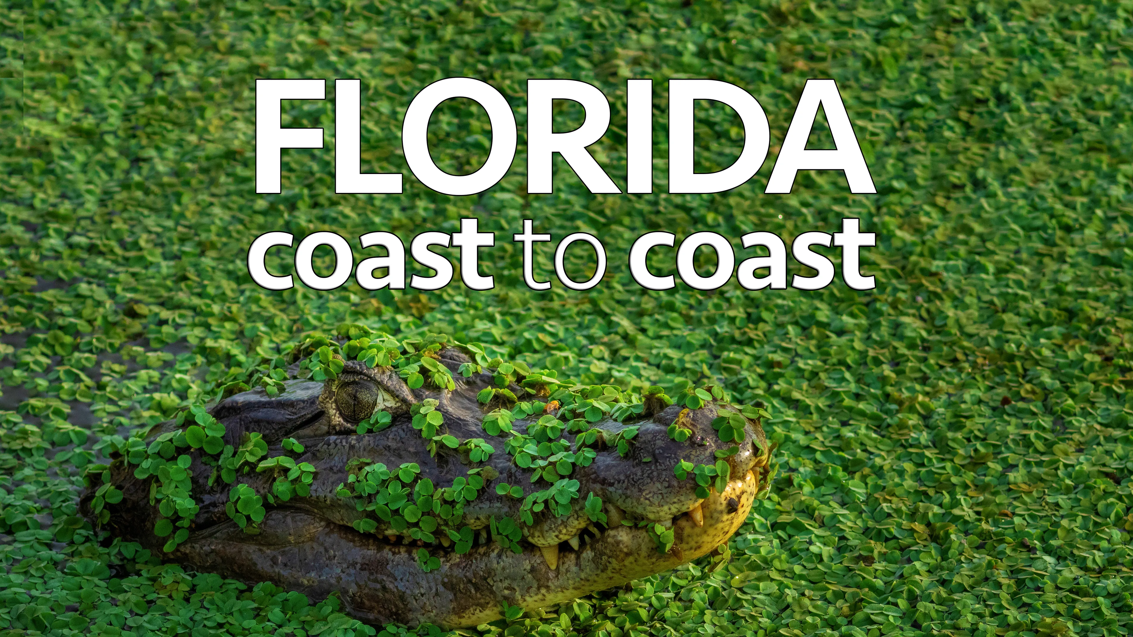 Florida Coast To Coast poster